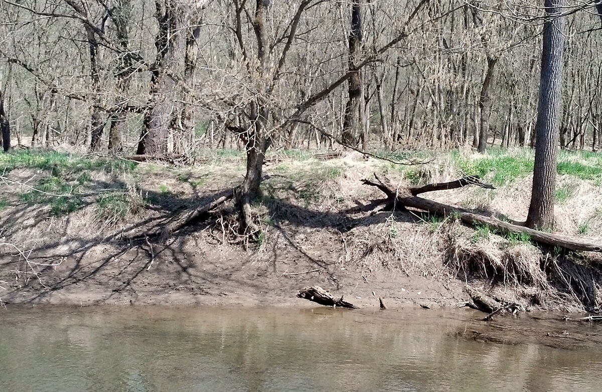 Eroded streambank